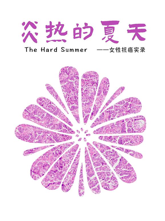 博恩的遗物